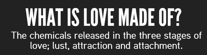 tobeagenius:  tobeagenius:  Your Brain In Love, more on @tobeagenius  happy valentines