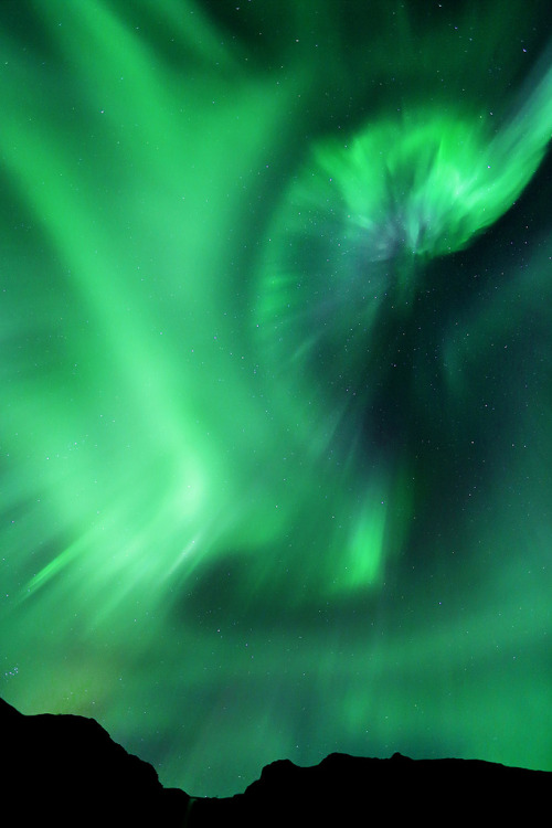 -vvaste:Enter the Dragon (by Oilfighter)
