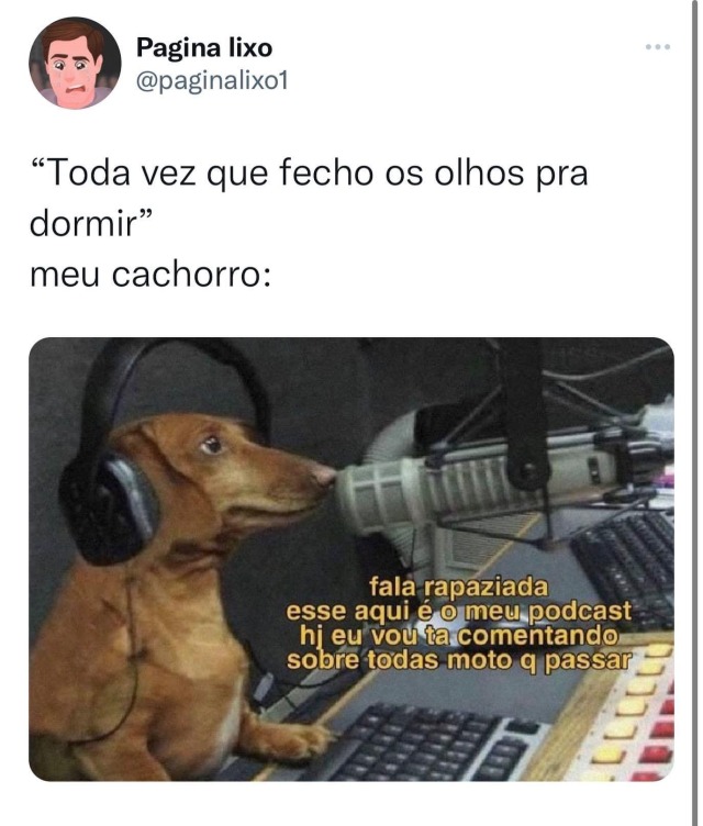 seu-bobo-da-corte: