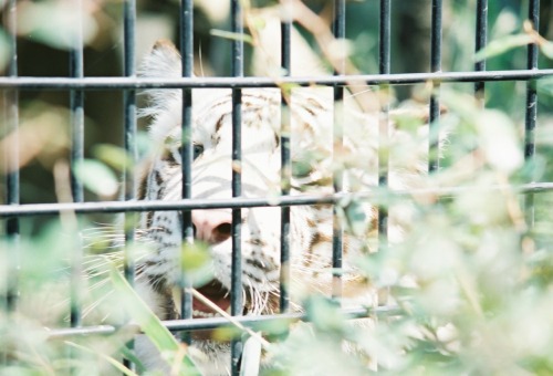 平川動物公園