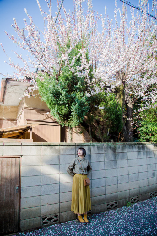 tokyophotolife: title:こなみん♥世田谷線＜西太子堂駅編＞(Konamin loves Setagaya-line&lt;Nishitaishido station editio