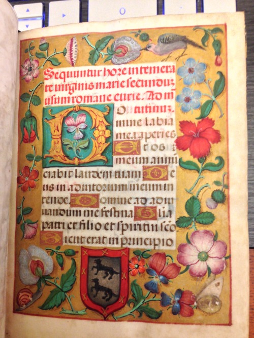 bibliophilly:This 15th century book of hours is a work of art.  From Lehigh University’s Linderman L