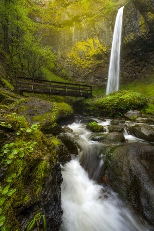 sublim-ature: Elowah Falls, OregonMitel Patel