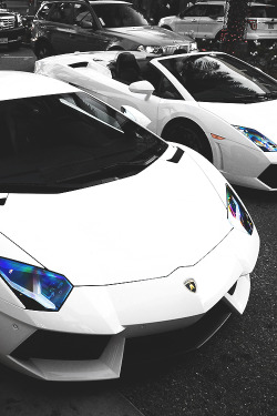 worldfam0us:  All White Everything | WF