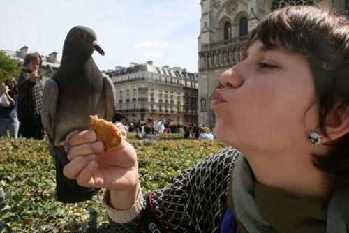 importantbirds:Birb friend pidge and I in Paris! City of love and Nose Kiss!My AMOUR, my love is lar