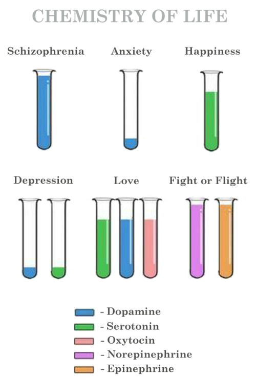 holistic-discovery: A simple diagram to help understand neurotransmitters and their functions in our