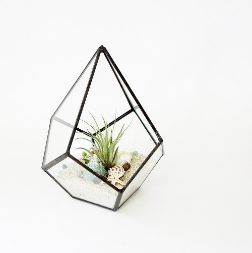 fernfiddlehead:Geometric Terrarium Pod, Air Plant Glass Terrarium, Glass Planter by JechoryGlassDesi