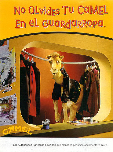 So i found a Mexican (i think?) Camel ad campaign that was really cute. I wish there