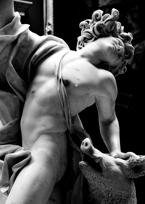 hadrian6:  The Death of Adonis. 1709. Giuseppe Mazzuoli Italian 1644-1725. marble. Hermitage.           http://hadian6.tumblr.com