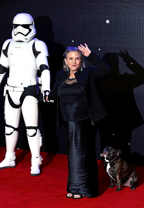 nudityandnerdery:rosalindrobertson:fysw:Carrie Fisher and Gary - Star Wars: The Force Awakens Premie