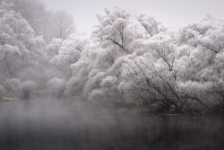 melodyandviolence:    FROSTY LANDSCAPES by  PATRICK