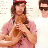 vans-warped-tour-2013:  Vic Fuentes + puppies appreciation post. (Warped Tour +