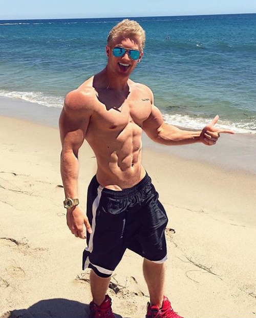 Adonis Files