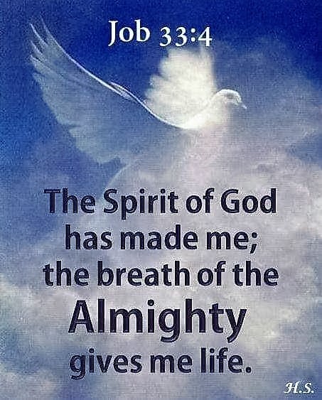 Job 33:4 (NKJV) - The Spirit of God has made me, And the breath of the  Almighty gives me life. – @wiirocku on Tumblr