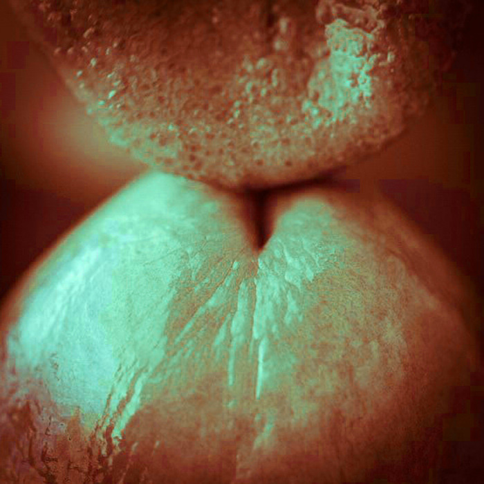 All Things Penis