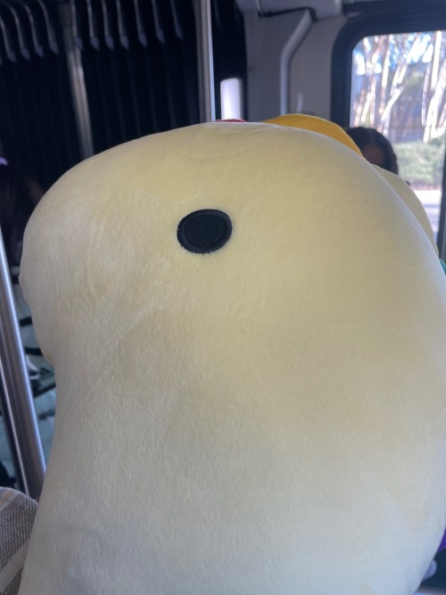 a close up of Ted, a yellow tube like dinosaur plushie with rainbow tabs on his back, on a bus