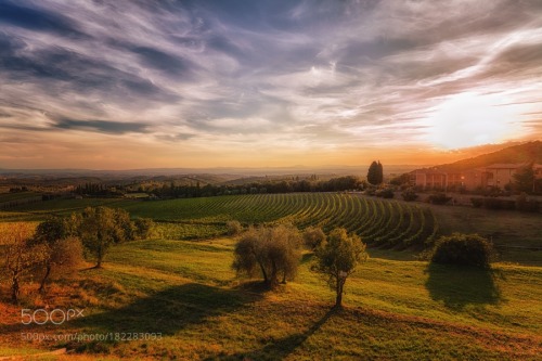 Toscana III by Birgit_Photografie