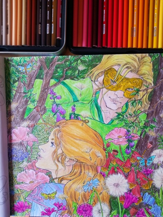 Featured image of post Acotar Coloring Book Tamlin I m not sure why i chose tamlin i guess i somehow still feel a little sad for him even after everything