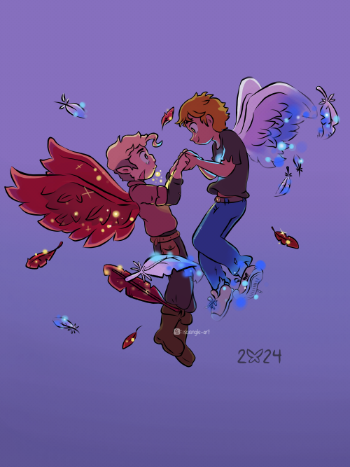 Wings And Feathers