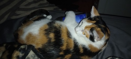 A Very Vital Addition I'm So Mad I Forgot She Didn't Want Me Taking The Bottle