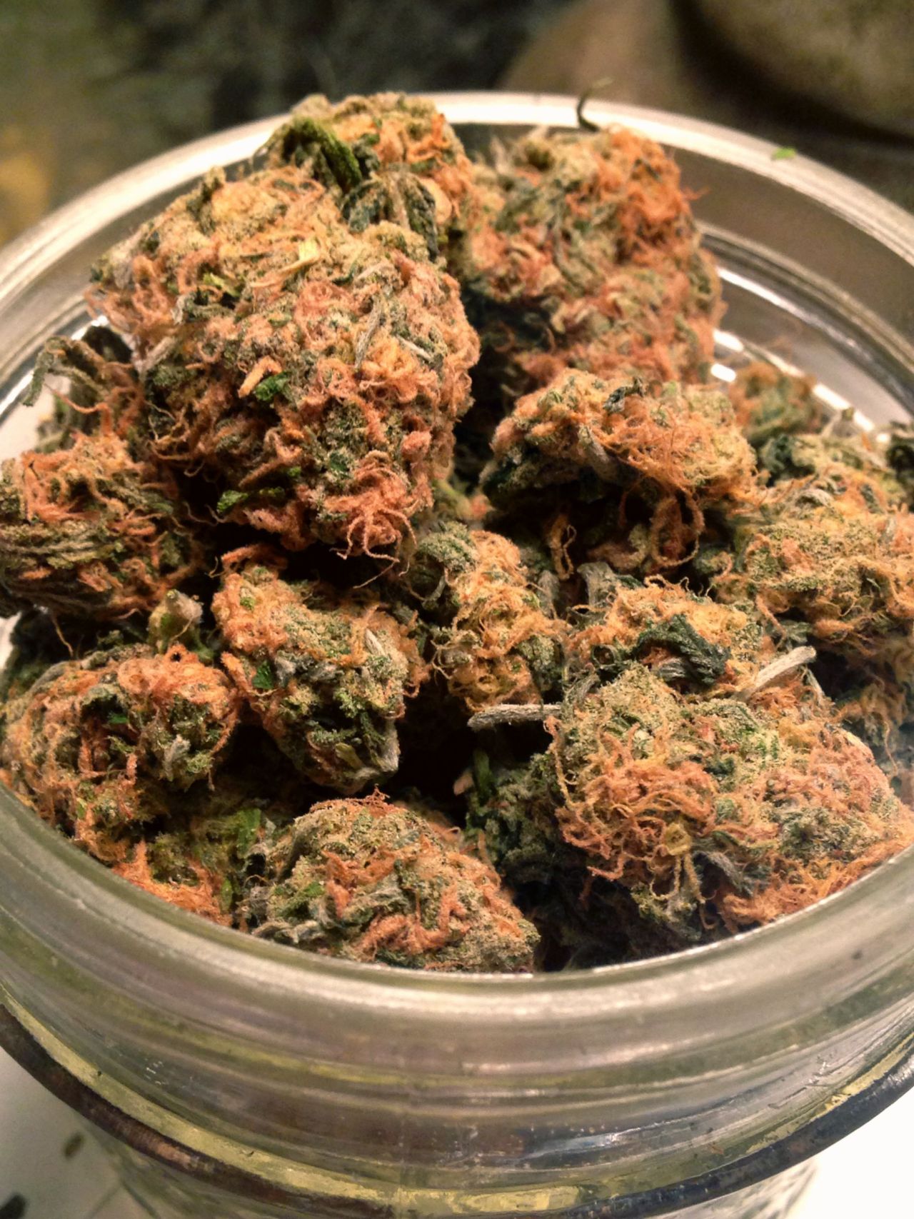 dolce-ink:  &ldquo;Blue Dream by the bouquet til I’m blue faced on a Tuesday…&rdquo;