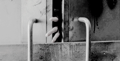 sansastlark:  Get To Know Me Meme - [2/10] Favorite Tv Shows“ Hey I know it’s been a while. I’m gonna be honest, I forgot about you. After the farm, we were always moving, but something happened. Something good. We found a prison. Daddy thinks