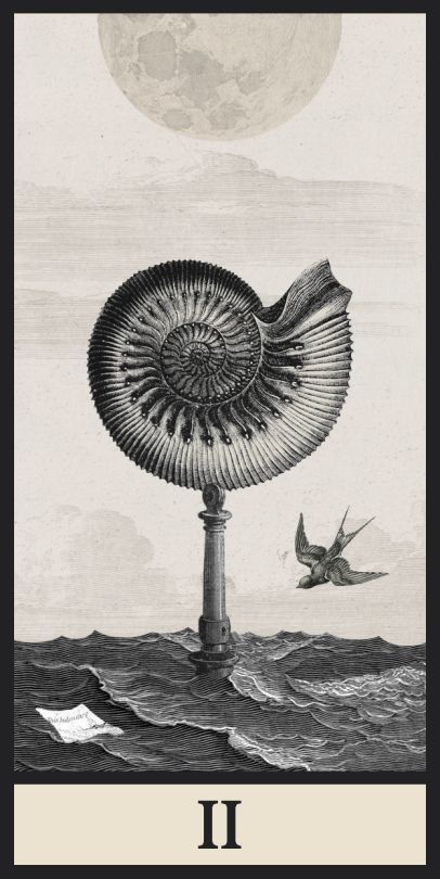 socialpsychopathblr: Ignacio Cobot’s tarot