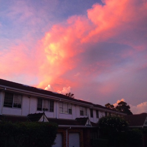 girlfawn:  Trust me to take 5000 photos of a pretty sunset  ig: erinmacnaught 
