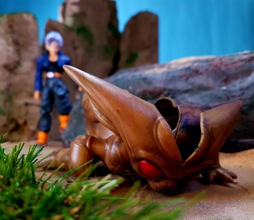 “…what is it? I’ve never saw anything like it before!” In this shot: SH Fig