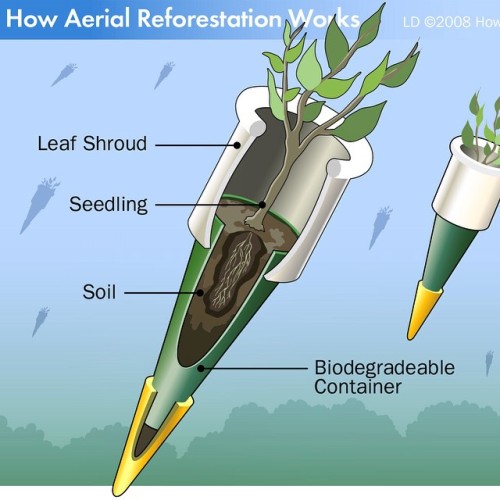 kasaron: fghtergrrrl:  howstuffworks: How Aerial Reforestation Works stuf.ly/aerial-reforest 