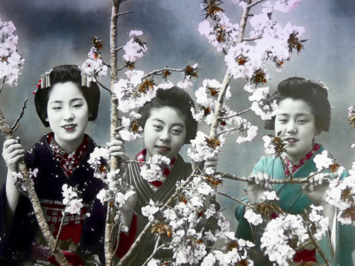 Informal portrait of three young women.  Hand-colored photograph, 1890&rsquo;s, Japan.. Pho