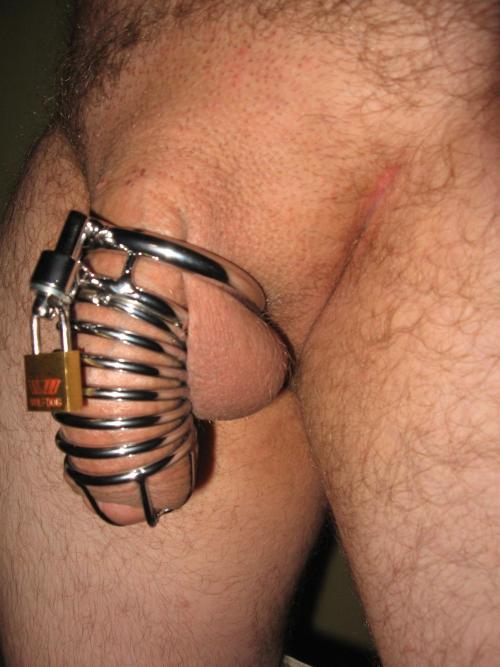 The-chastity-pages, an ode to male chastity