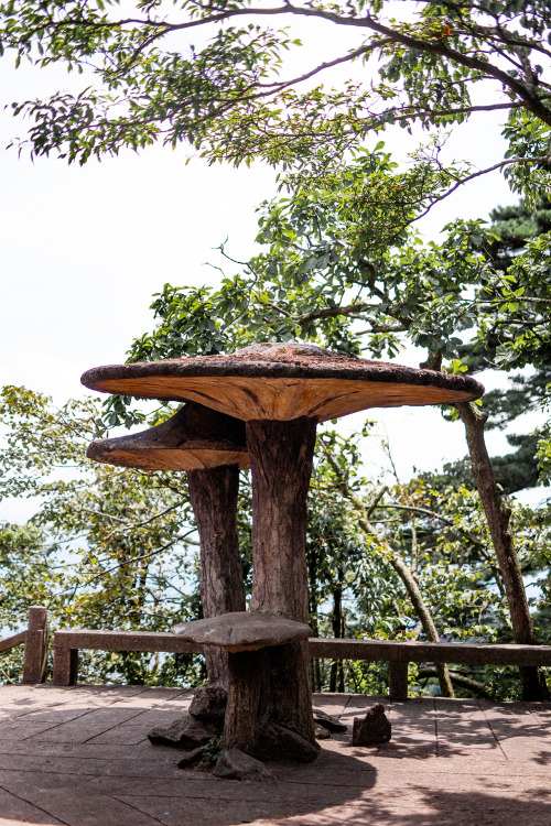 weekend trip from shanghai to huangshan:we took the yuping (jade screen) cable car up to the essenti