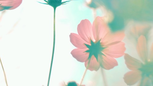 That Warmth Is Unmistakably Love.