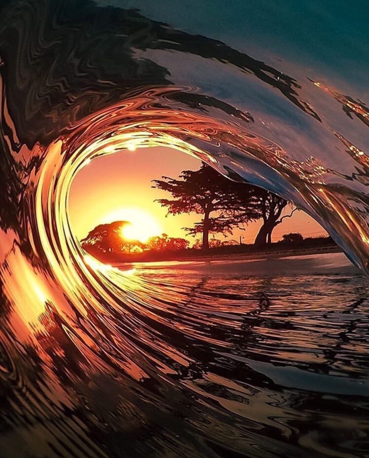 surfer-roo01:  
