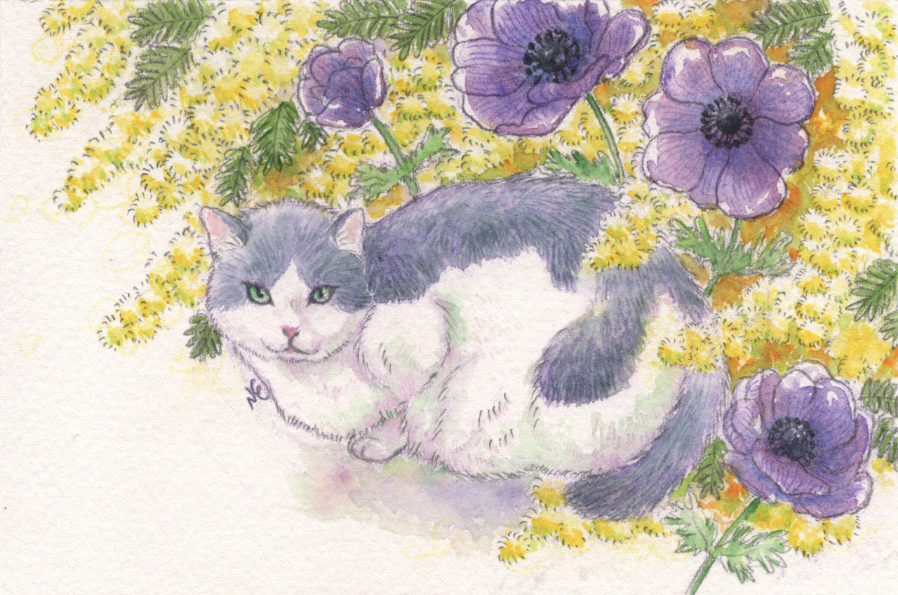 15 ケーキ王子の名推理5 のケーキイラストを担当させていただきました Www Shin 15 ケーキ王子の名推理5 のケーキイラストを担当させていただきました Www Shin