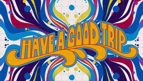 Have a Good Trip: Adventures in Psychedelics