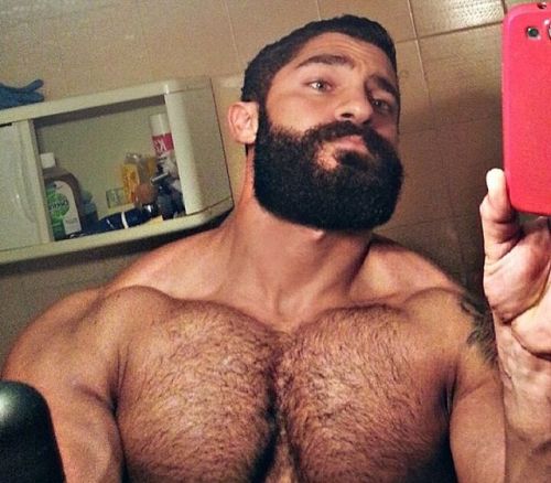 Sex wrestlehead:  Doumit Ghanem  Mounds of muscles pictures