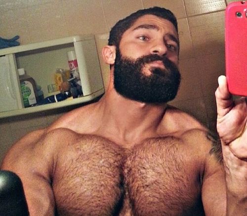 Awesome pecs, great hairy chest, this is adult photos