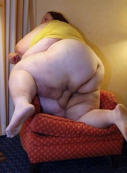 fa400plus:snatchoholicsanonymous-deactiva:atthegully:UnknownSSBBW big belly 