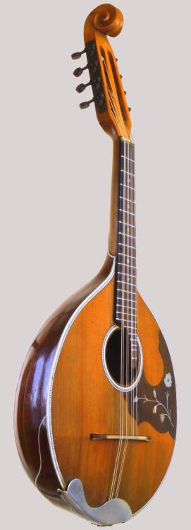 chordophoneoftheday:A Nice Scroll Top Mandolin