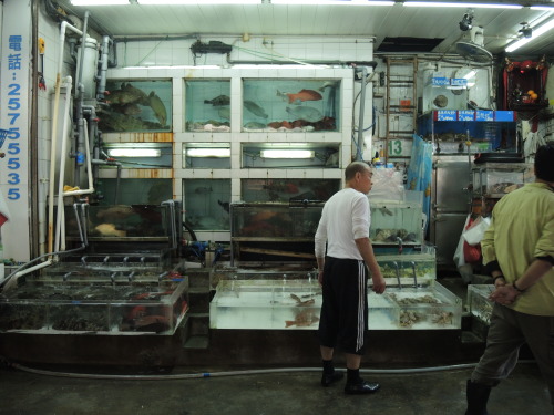 unstetig: fish wan chai, hong kong