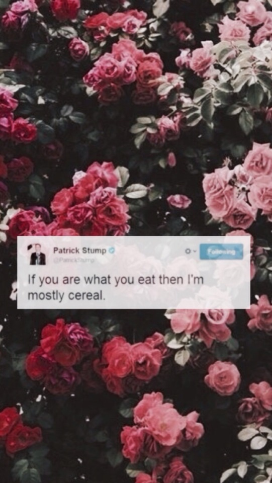 Patrick Stump Tweets