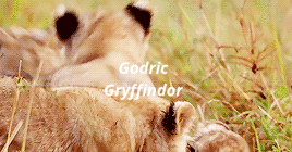 epivskey: The Founders as Women: Godric Gryffindor  Godric valued courage and bravery, believing these were the two most virtuous abilities a person can possess Ravenclaw | Hufflepuff | Slytherin 