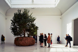 wetreesinart:Céleste Boursier-Mougenot (Fr. 1961- ), TransHumUs / projet rêvolutions (Installation View), 2015, arbre, terre, moteur, 56th Venice Biennale, french pavillion