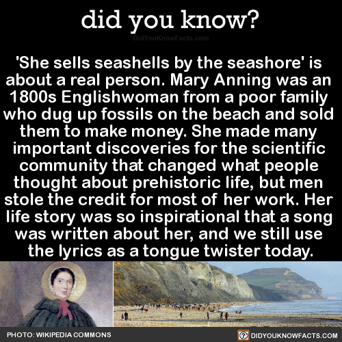 did-you-kno:‘She sells seashells by the seashore’ is  about a real person. Mary