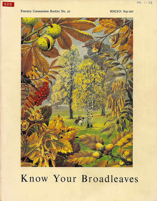 ajackdawintheattic:Know Your Broadleaves -…Charles Tunnicliffe