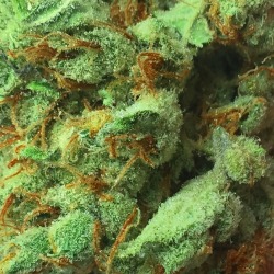 doobiedrewbie:  Who wouldn’t want some Big Bang? 👀 