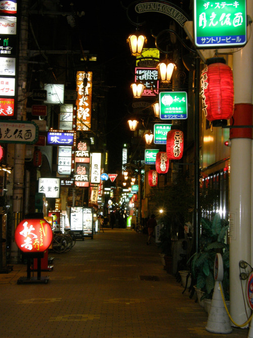 minuga-hana:Dotonbori bypaul evans