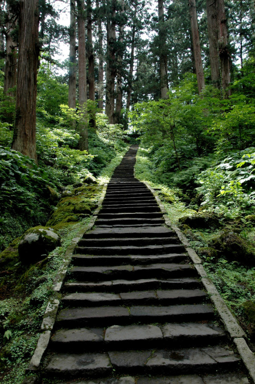 4nimalparty:  Japan green Series 3/3 (by Shadows Oliv) 